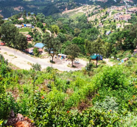 धुलिखेल ४३ रोपनी जागा